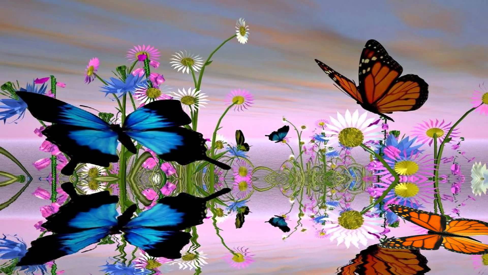Animated Butterfly Wallpaper Free Animated Butterfly Background