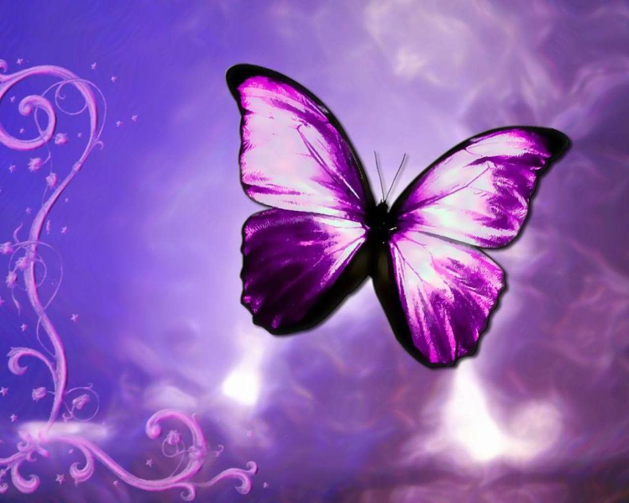 Moving Butterfly Wallpaper