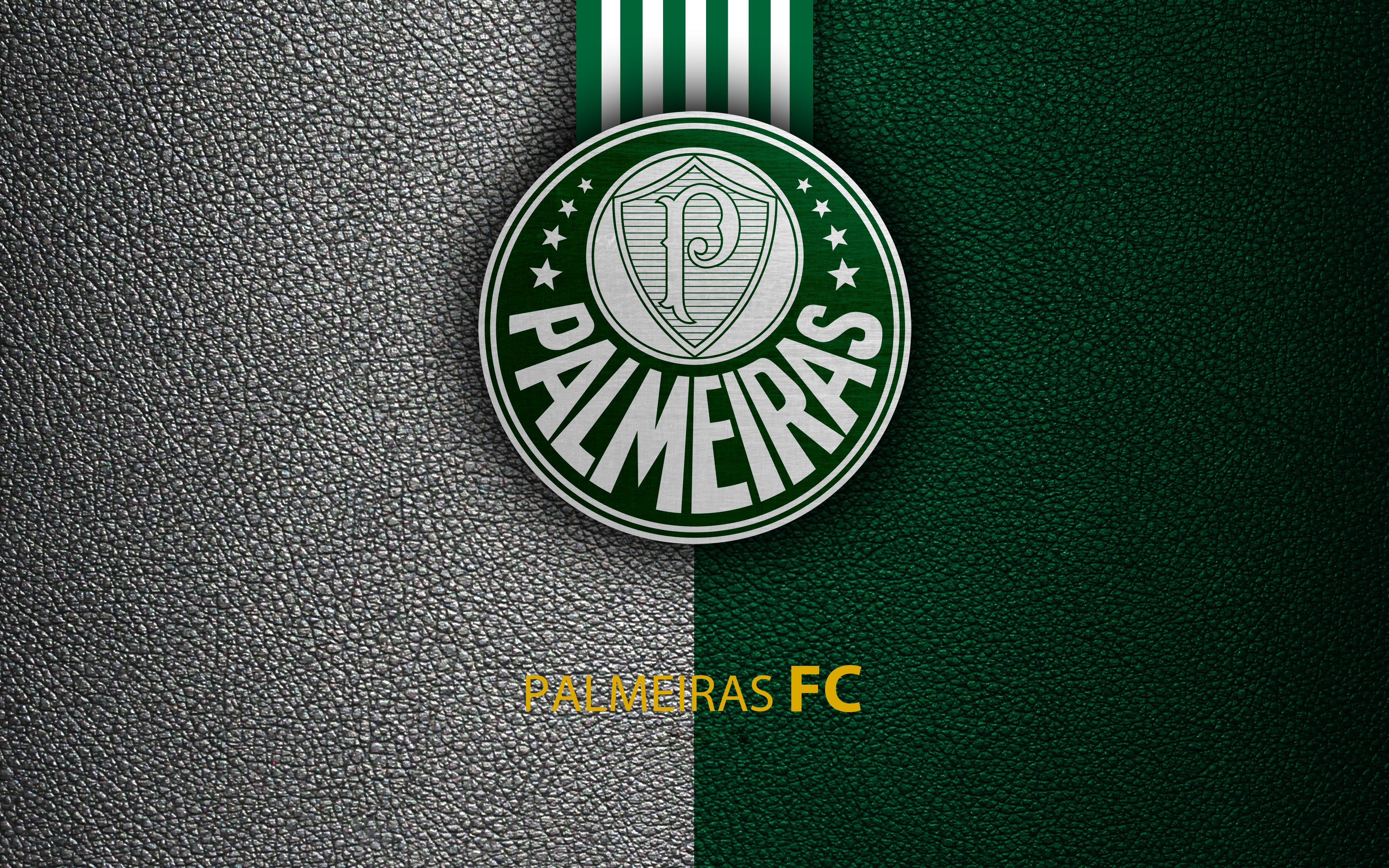 Soccer, Logo, Sociedade Esportiva Palmeiras wallpaper. Mocah HD Wallpaper
