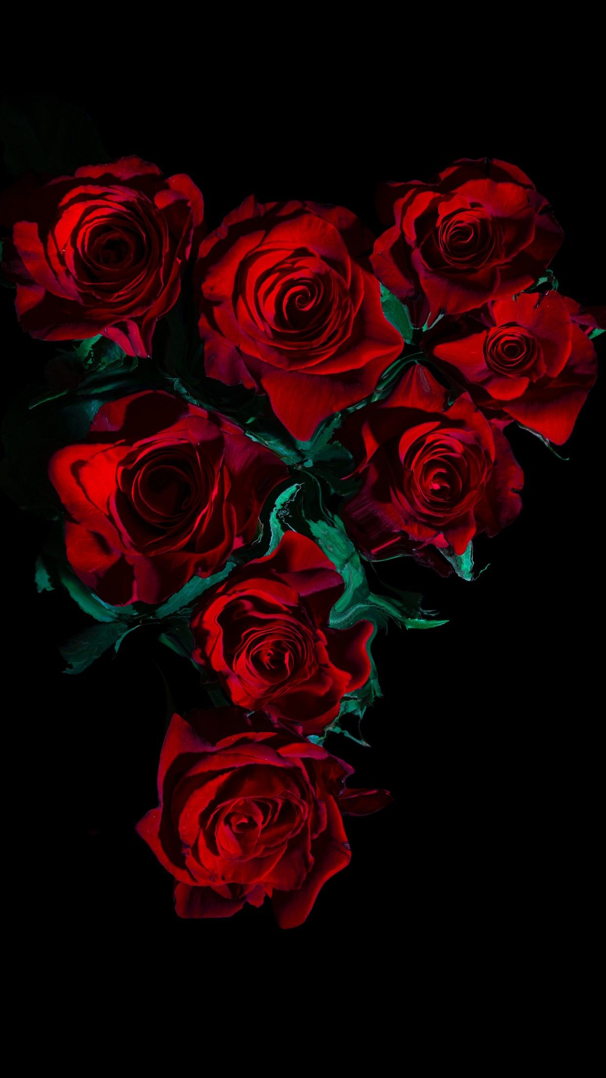 Red Roses 4K Wallpaper, Flower bouquet, Black background, 5K, 8K, Flowers