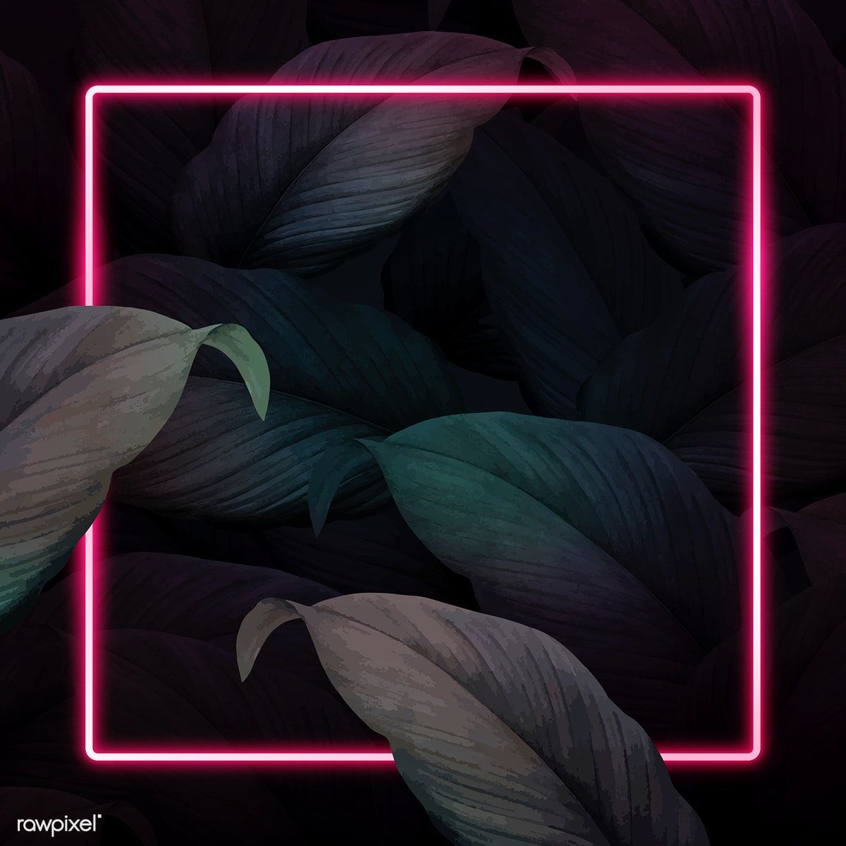 Download premium vector of Square pink neon frame on tropical leaves. Neon background, New background image, Pink neon wallpaper