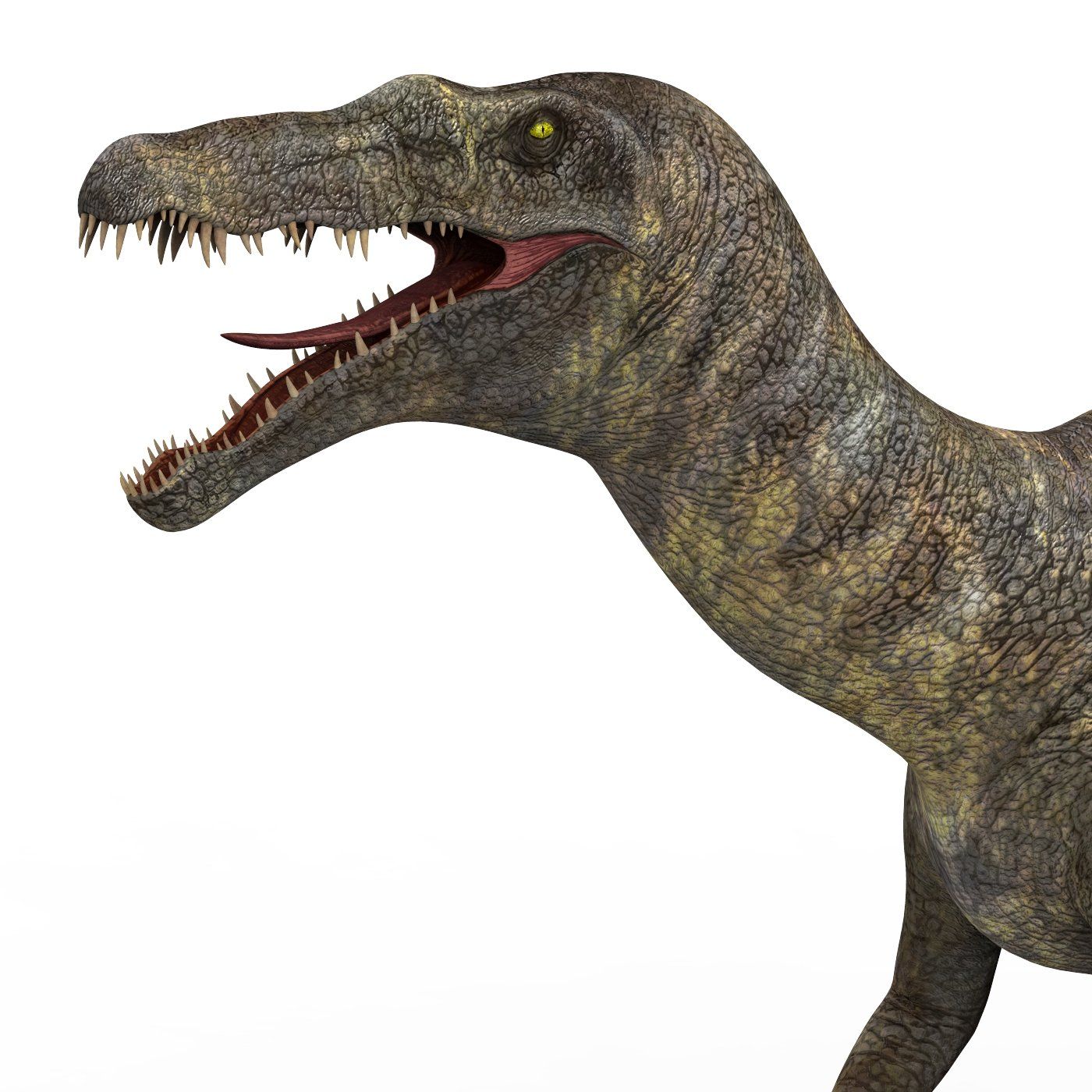 Baryonyx Dinosaur 3D Model