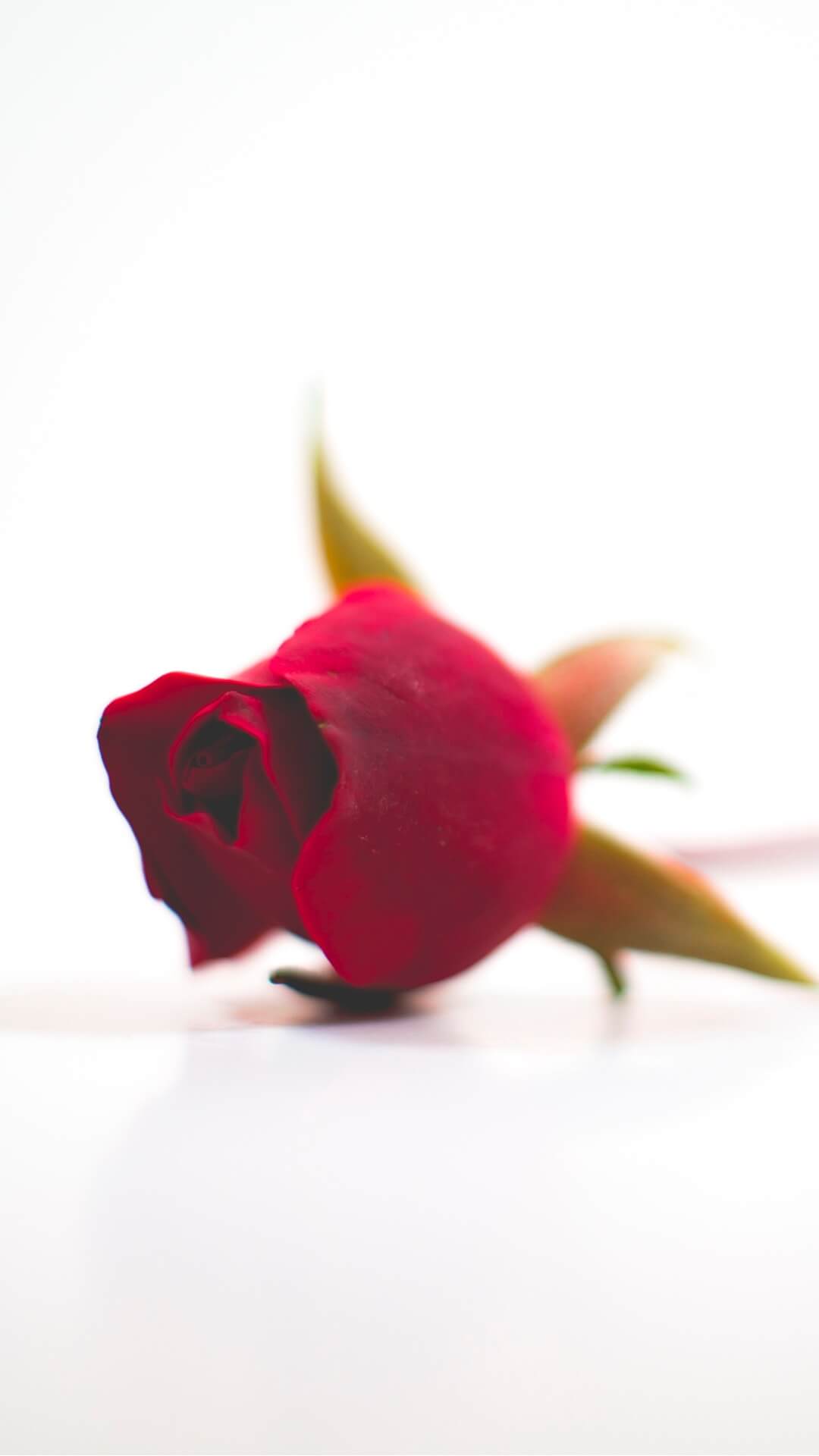 Best Valentine's Day wallpaper for iPhone in 2021