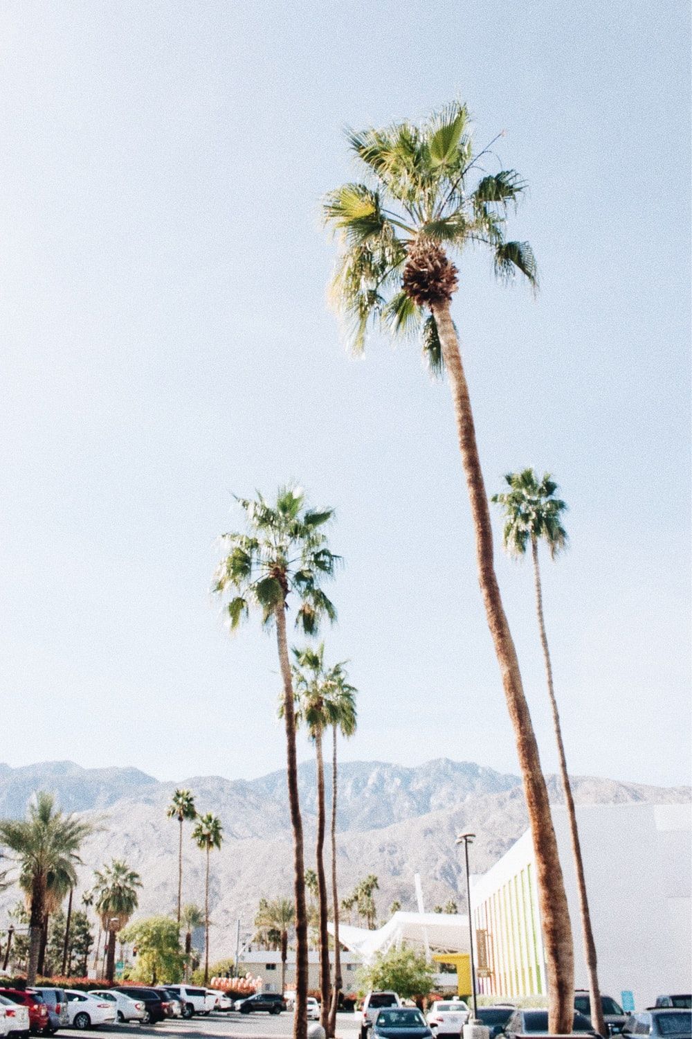 Palm Springs Wallpaper