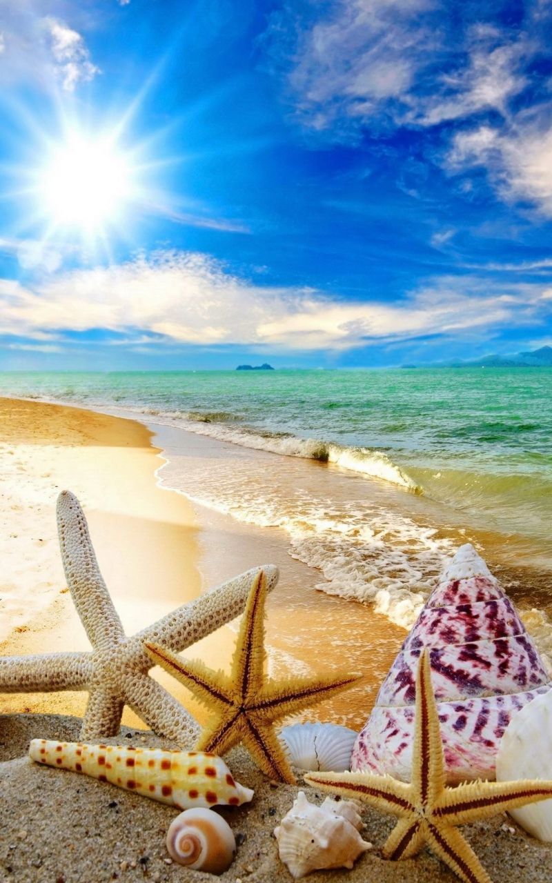 Free download Summer Beach Sun Starfish Waves Android Wallpaper Phone [1080x1920] for your Desktop, Mobile & Tablet. Explore Summer Beach Wallpaper HD. Summer Beach Wallpaper HD, Summer Beach Background