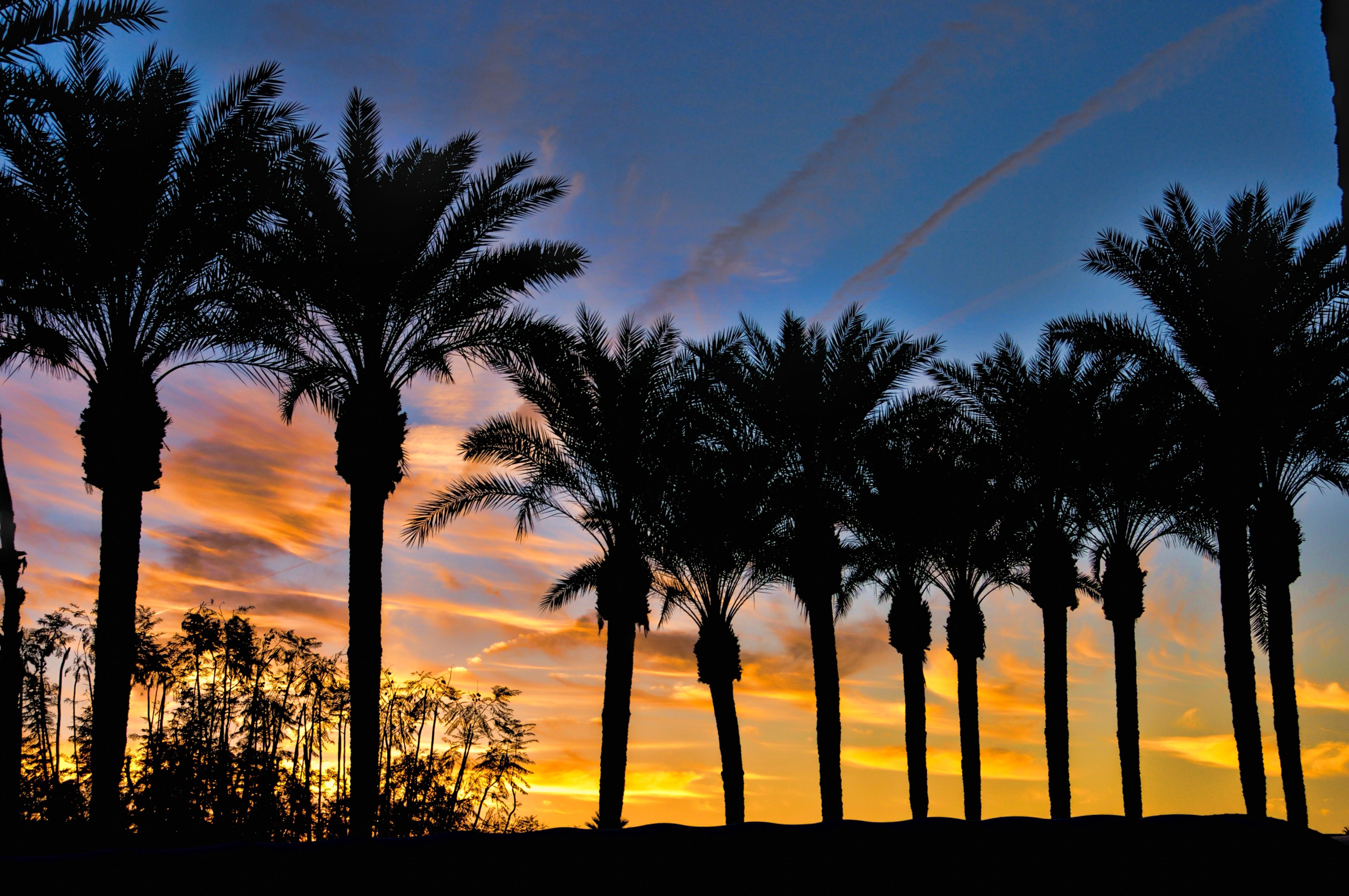 Wallpaper, sky, color, clouds, sunrise, palmtrees, sillhouettes, palmspringsca 4129x2743