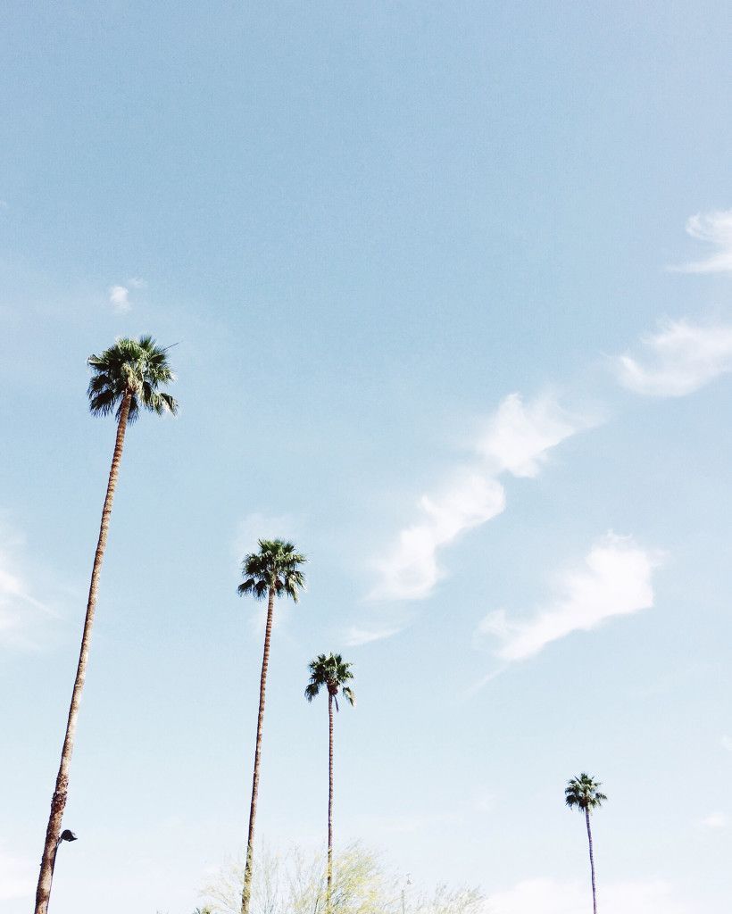Travel Thursday // Palm Springs, CA. Palm trees wallpaper, Tree wallpaper, Spring weekend getaway