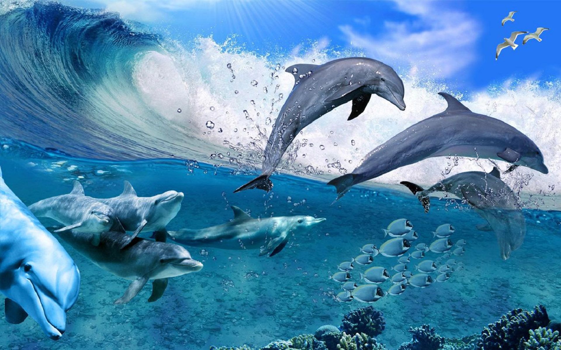 Happy Dolphins Game Sea Fish Coral Waves, Summer Wallpaper HD For Deskx1200, Wallpaper13.com