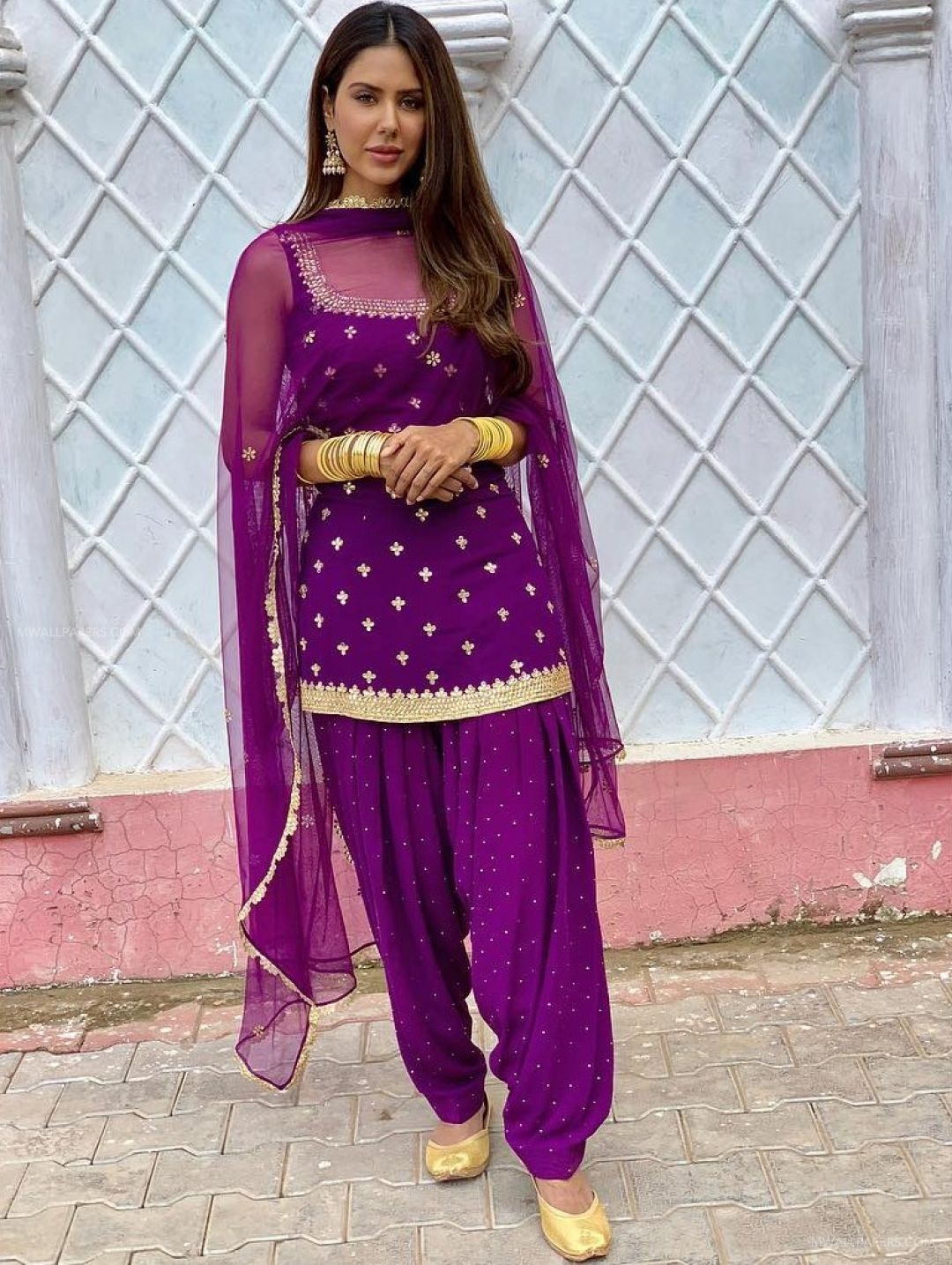 Sonam Bajwa HD Wallpaper (Desktop Background / Android / iPhone) (1080p, 4k) (1080x1435)