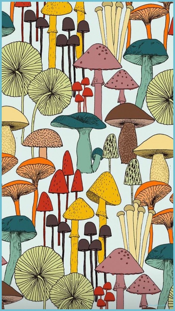 Mushroom Aesthetic Wallpapers - Wallpaper Cave