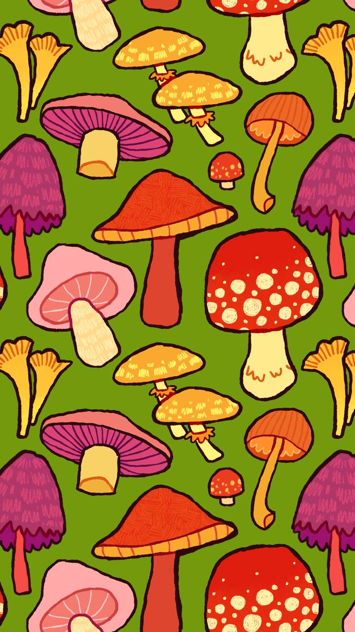 Download Mushrooms Wallpaper HD. Wallpaper HD.Com