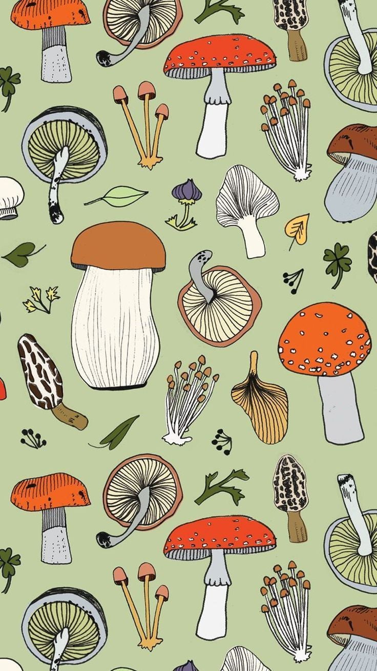 Aesthetic Mushroom Iphone Wallpaper at Frank Cook blog