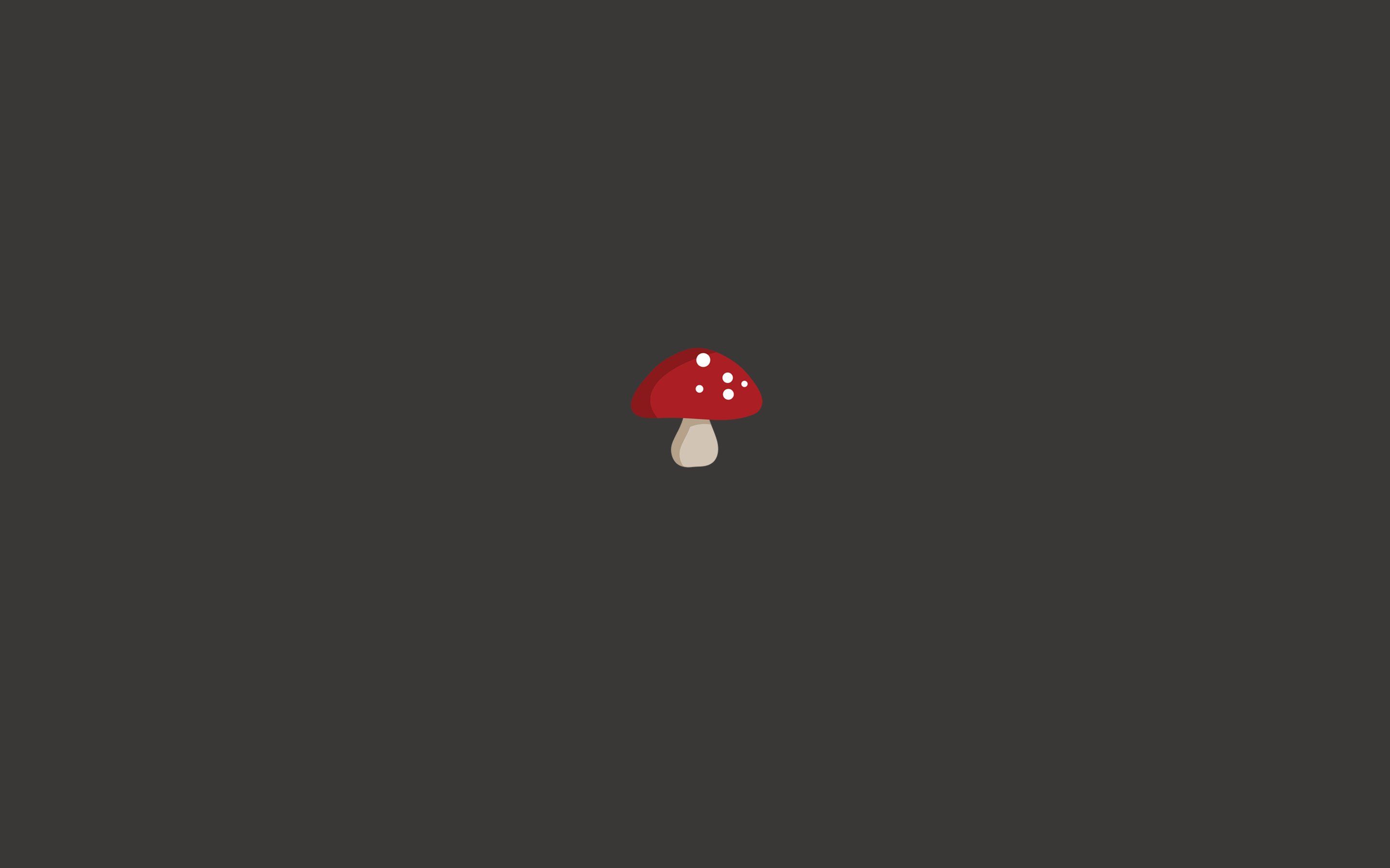 20 Top mushroom wallpaper aesthetic laptop You Can Save It free ...