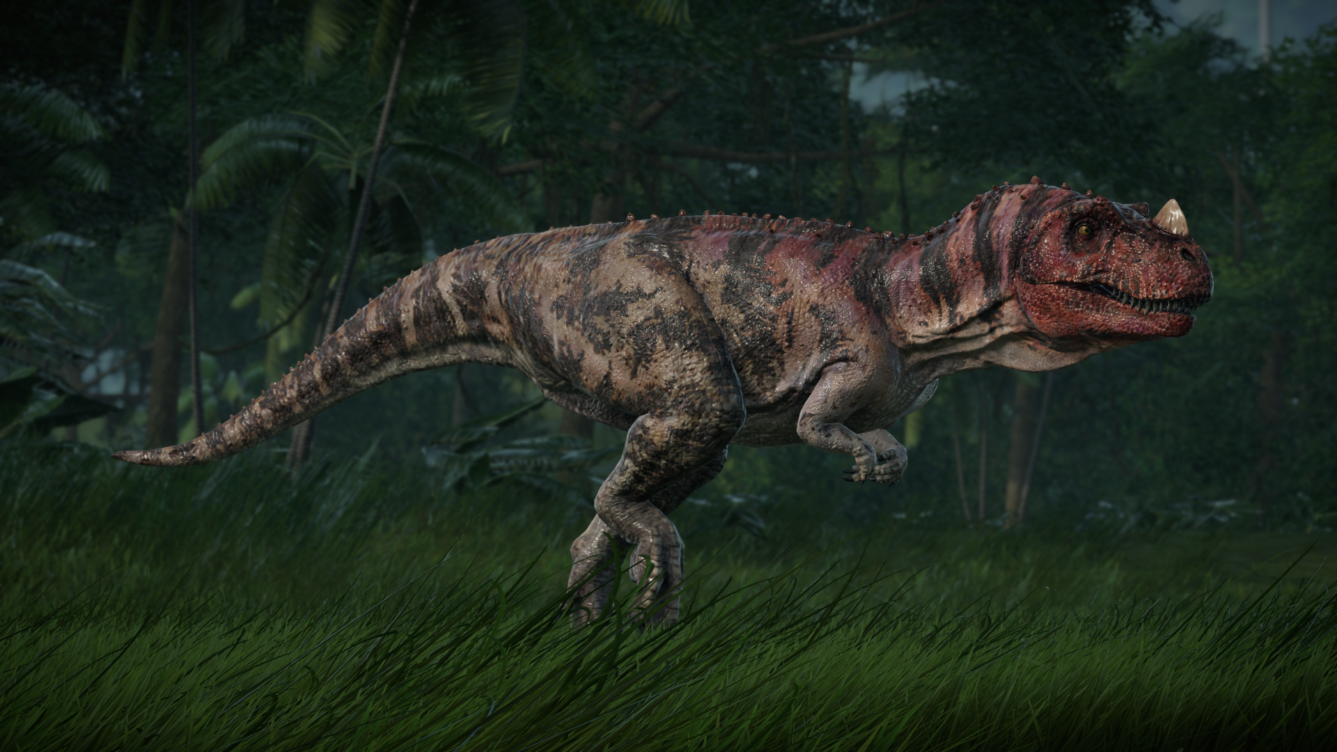 Ceratosaurus. Jurassic world dinosaurs, Jurassic park world, Jurassic world