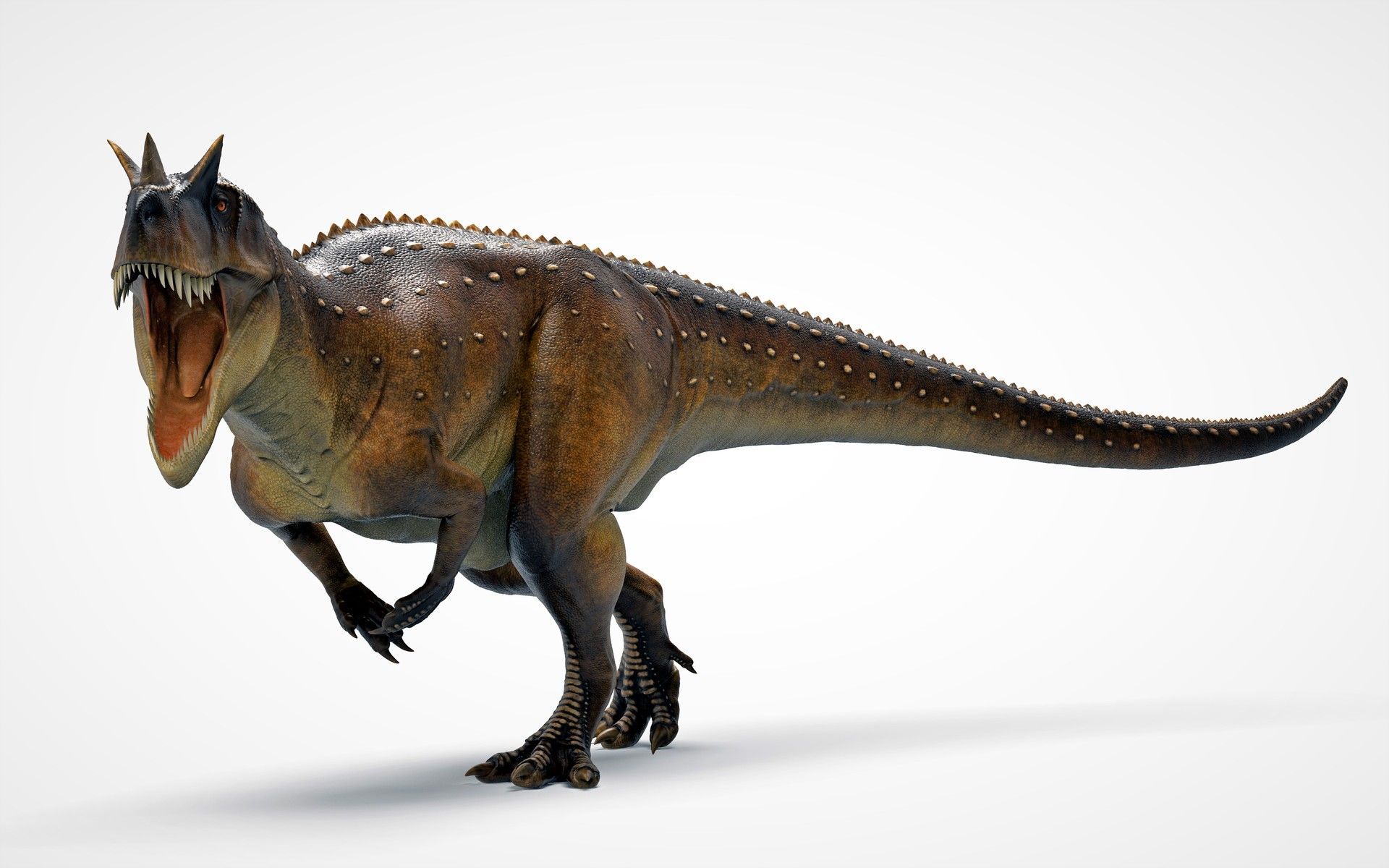 Ceratosaurus, Manuel Gil Jaramillo. Prehistoric animals, Ancient animals, Dinosaur time
