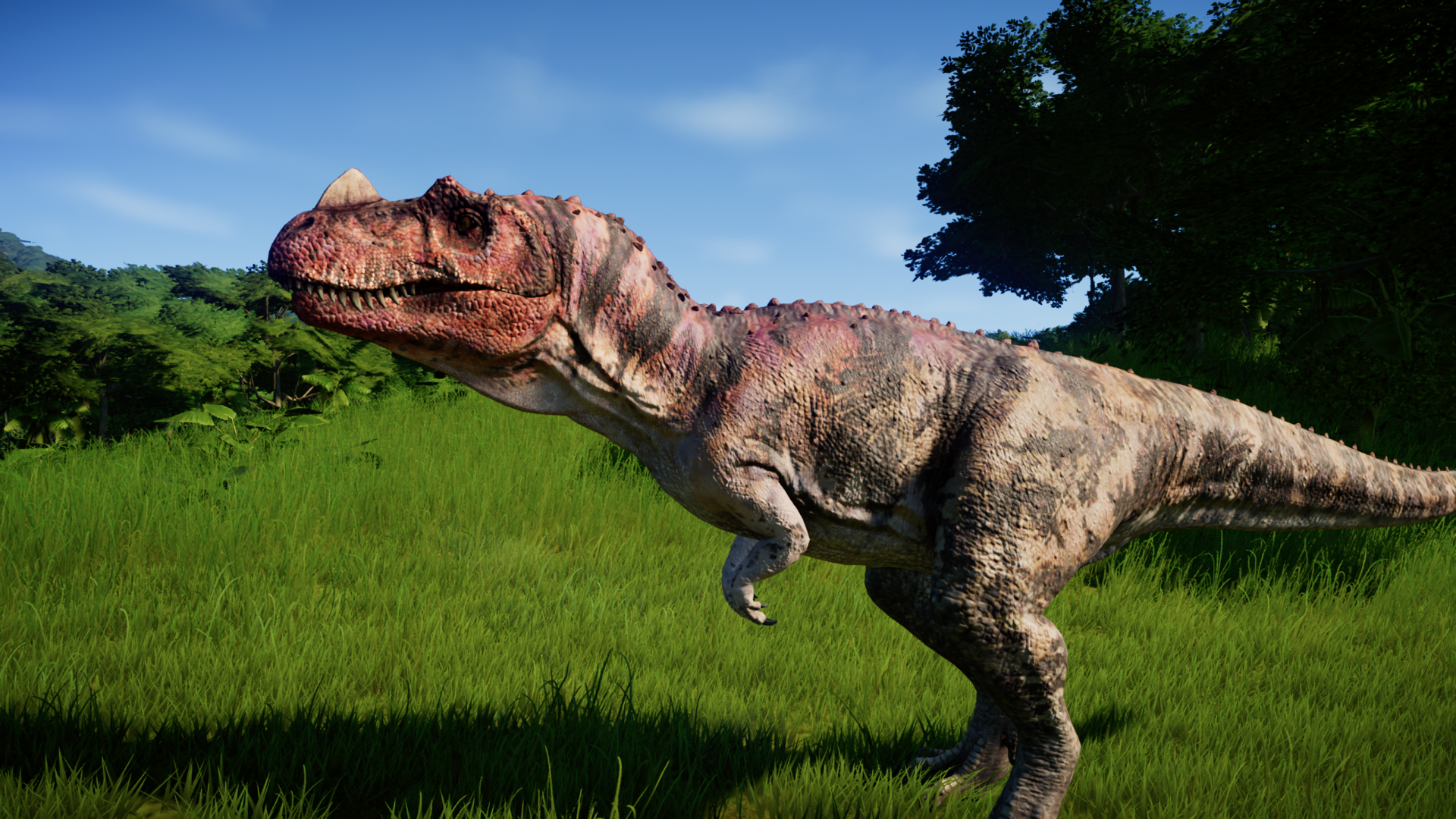 Ceratosaurus Skins