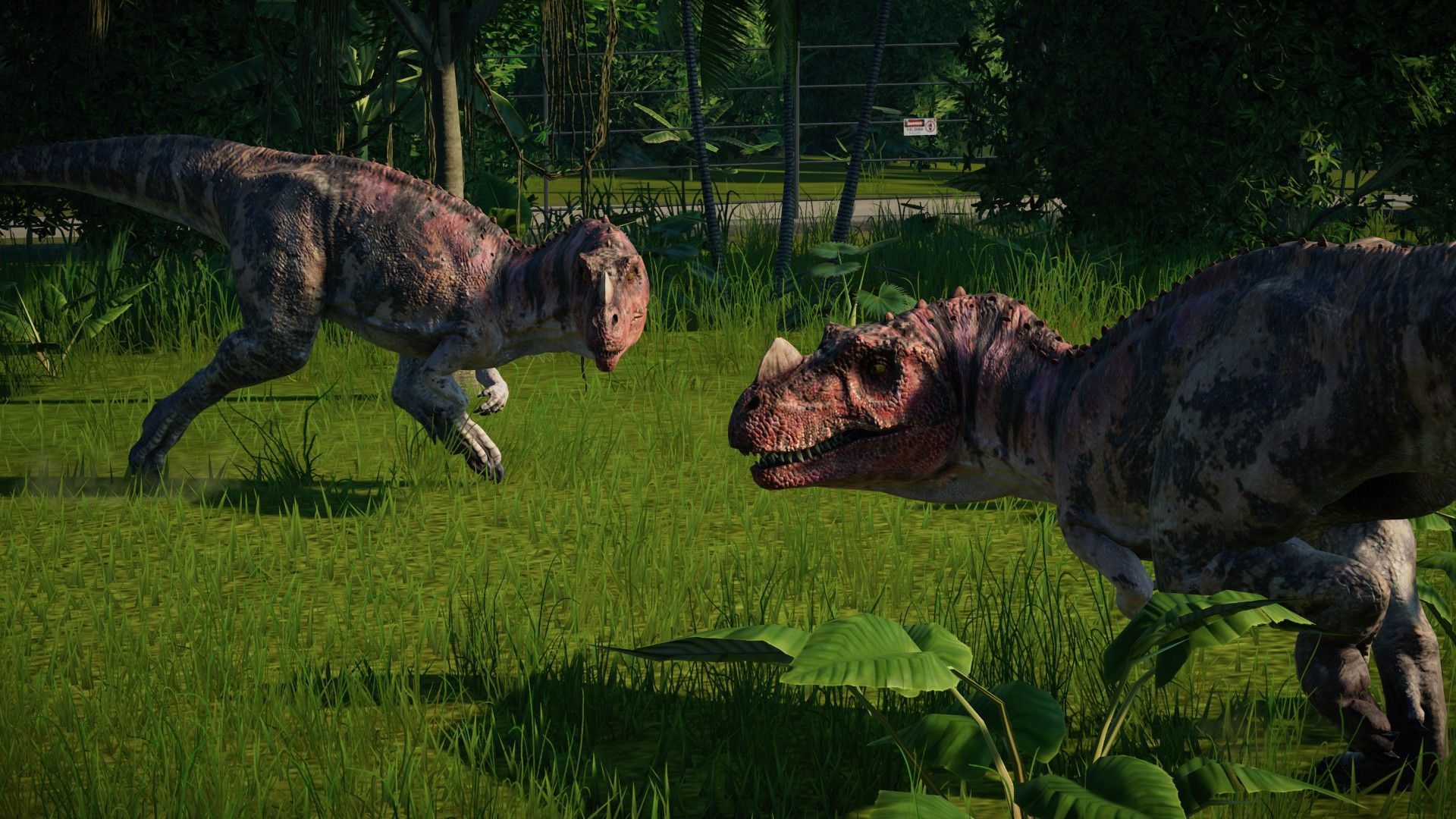 Ceratosaurus. Jurassic park world, Jurassic world dinosaurs, Jurassic world