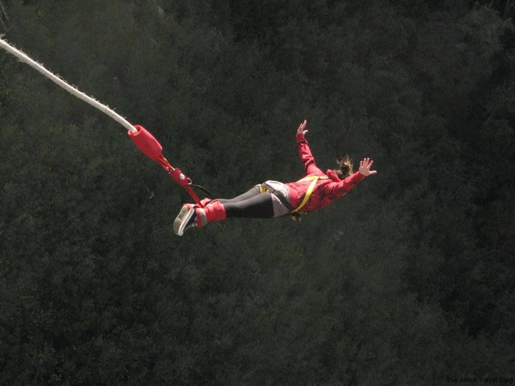 Quotes about Bungee Jumping (47 quotes)