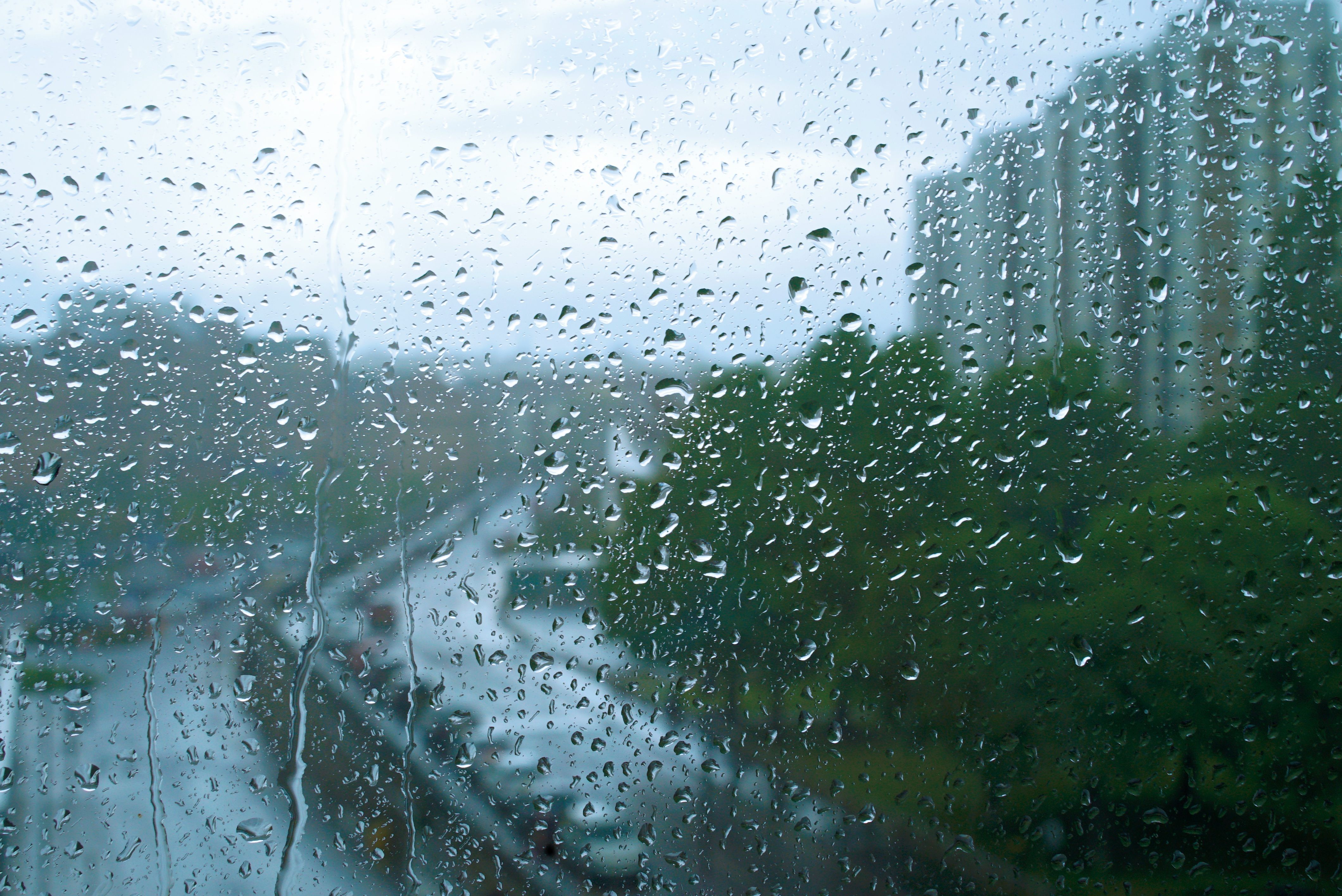 Rain on a window 4k Ultra HD Wallpaper