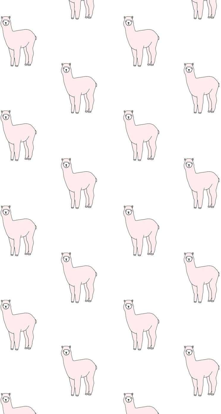 Cute Llama Wallpaper For Girls