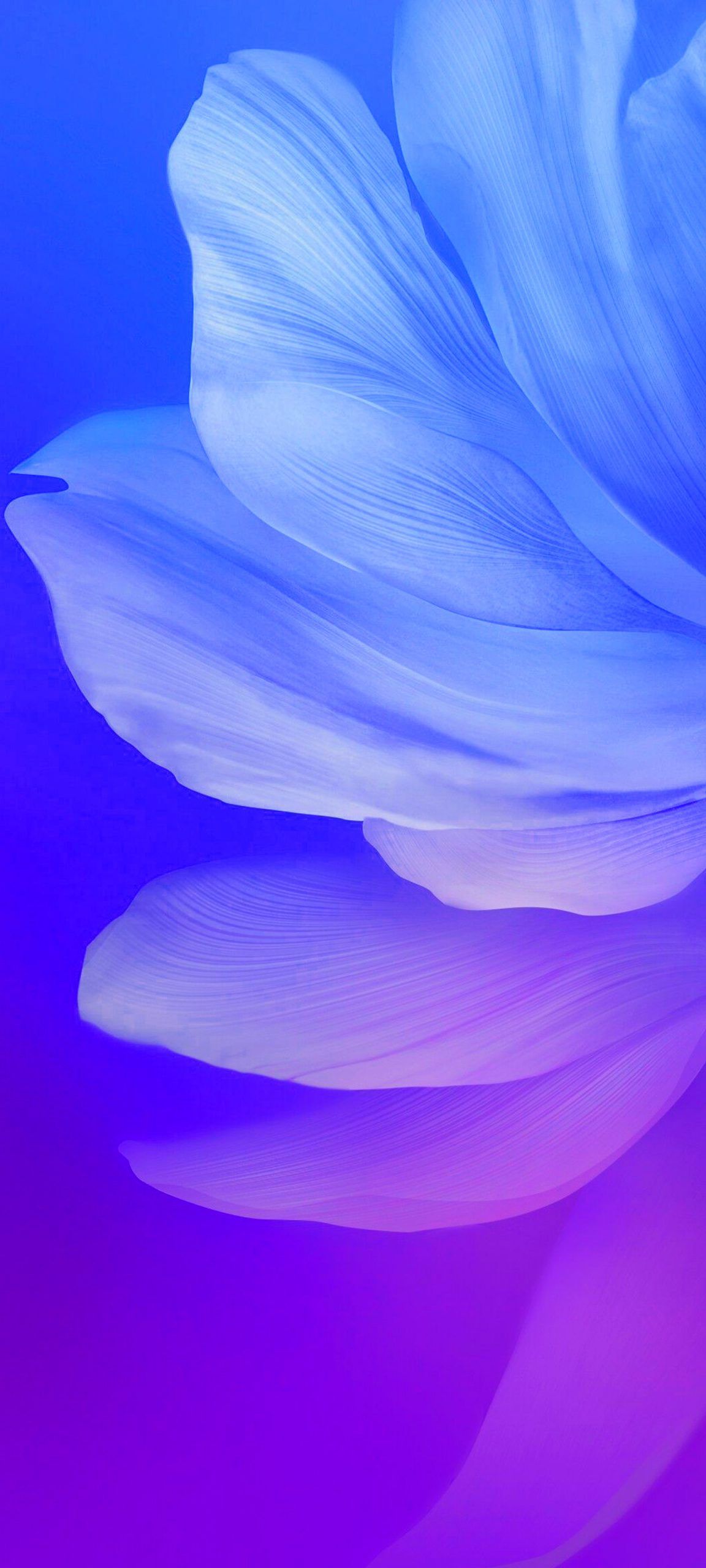 Cool Alternative Wallpaper for Samsung Galaxy S21 Ultra 5G with Flower Petals HD Wallpaper for Laptops and Smartphones