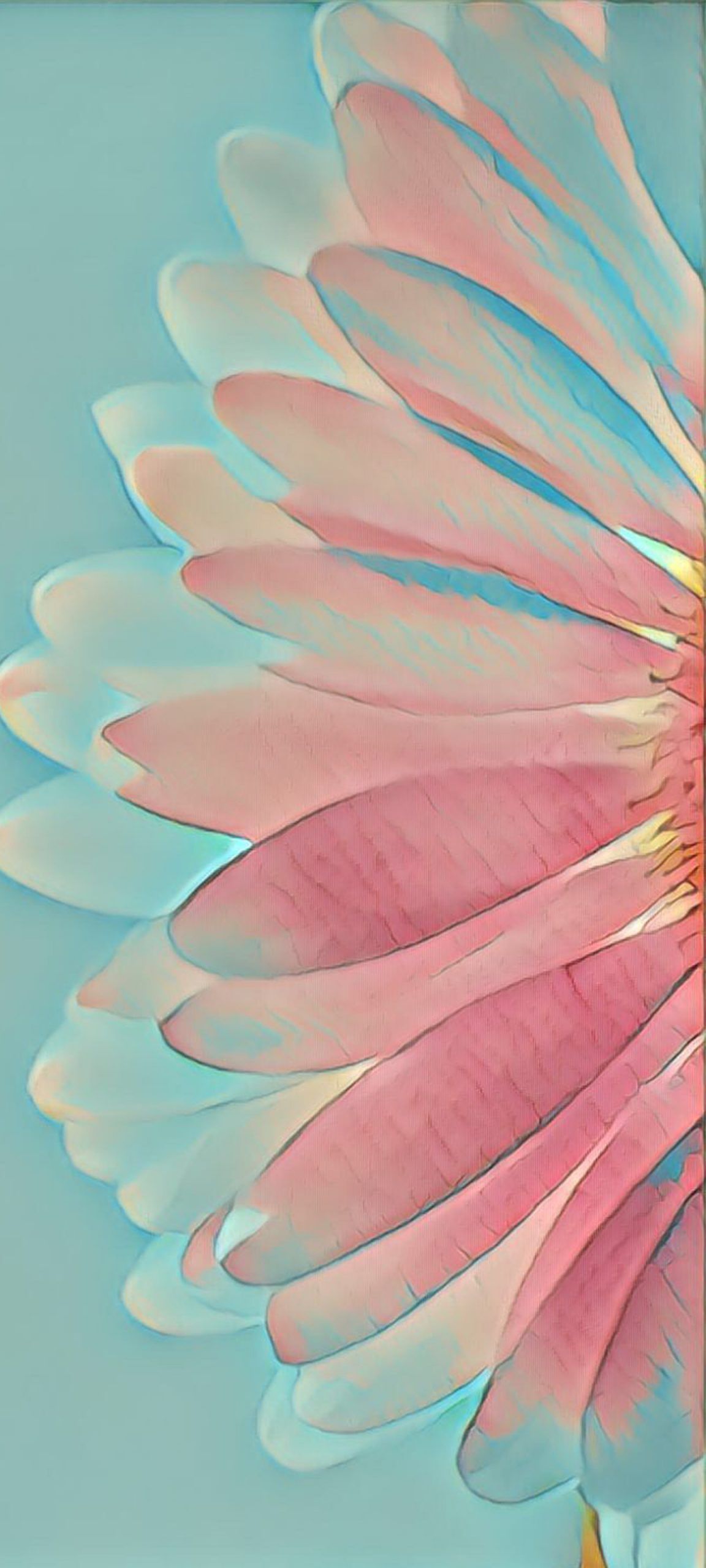 Cool Alternative Wallpaper for Samsung Galaxy S21 Ultra 5G with A Half Side Daisy Flower HD Wallpaper for Laptops and Smartphones