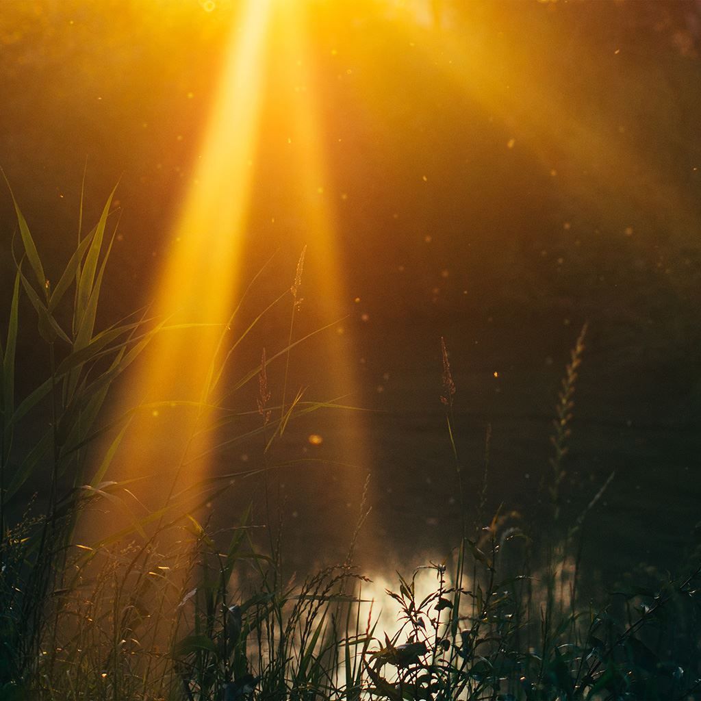 Nature Flower Lake iPad Wallpaper