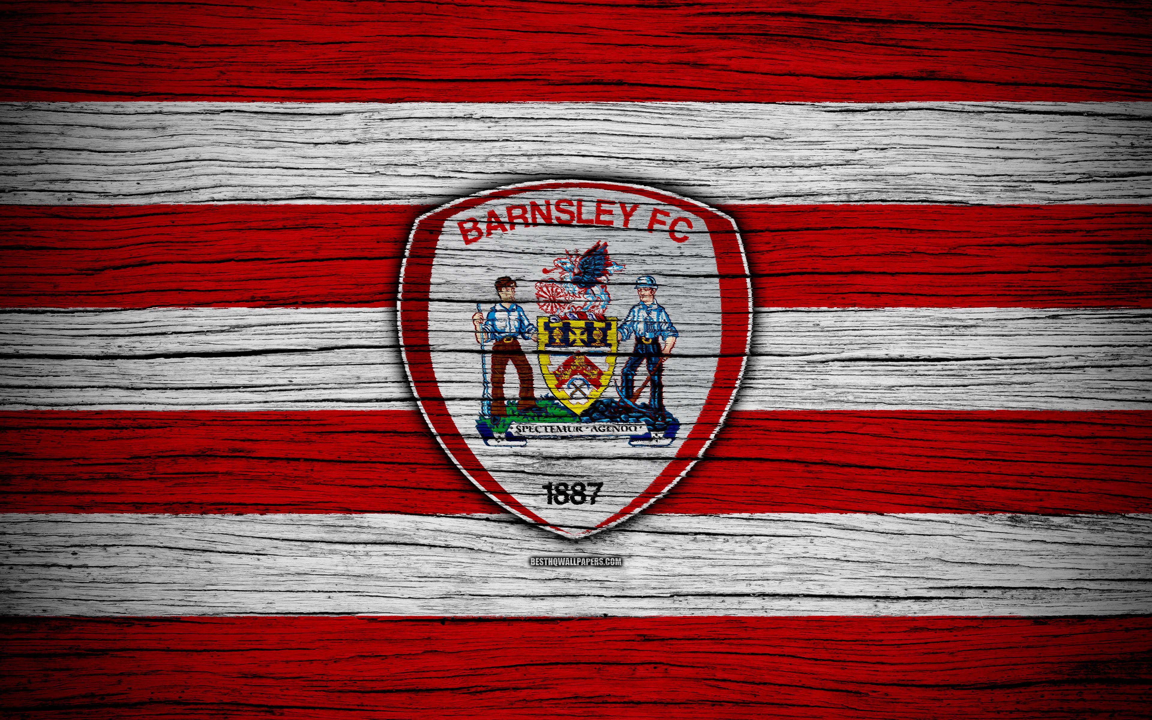Download wallpaper Barnsley FC, 4k, EFL Championship, soccer, football club, England, Barnsley, logo, wooden texture, FC Barnsley for desktop with resolution 3840x2400. High Quality HD picture wallpaper