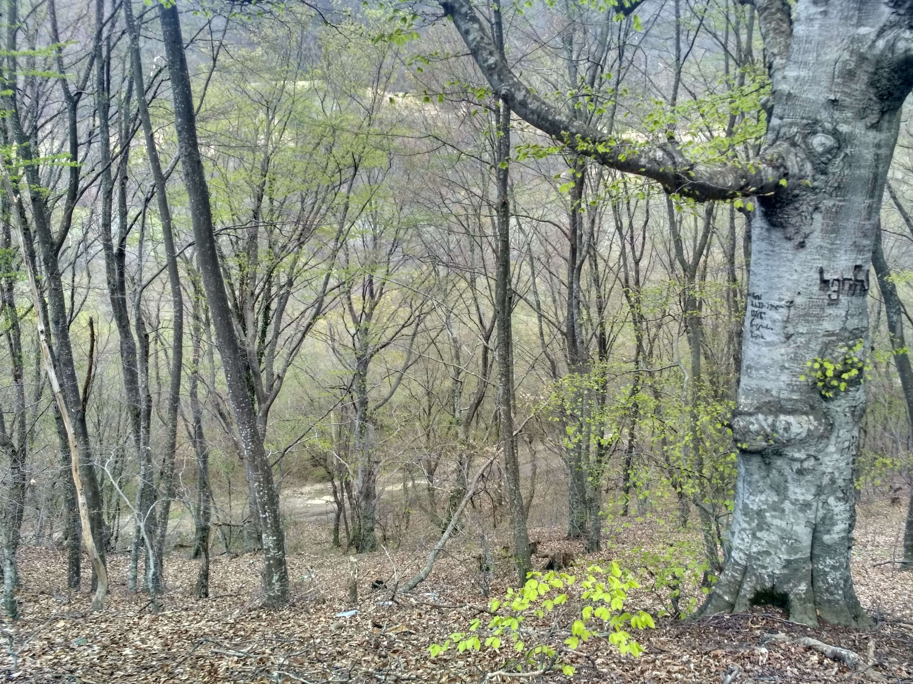 adventure, nature 4k wallpaper