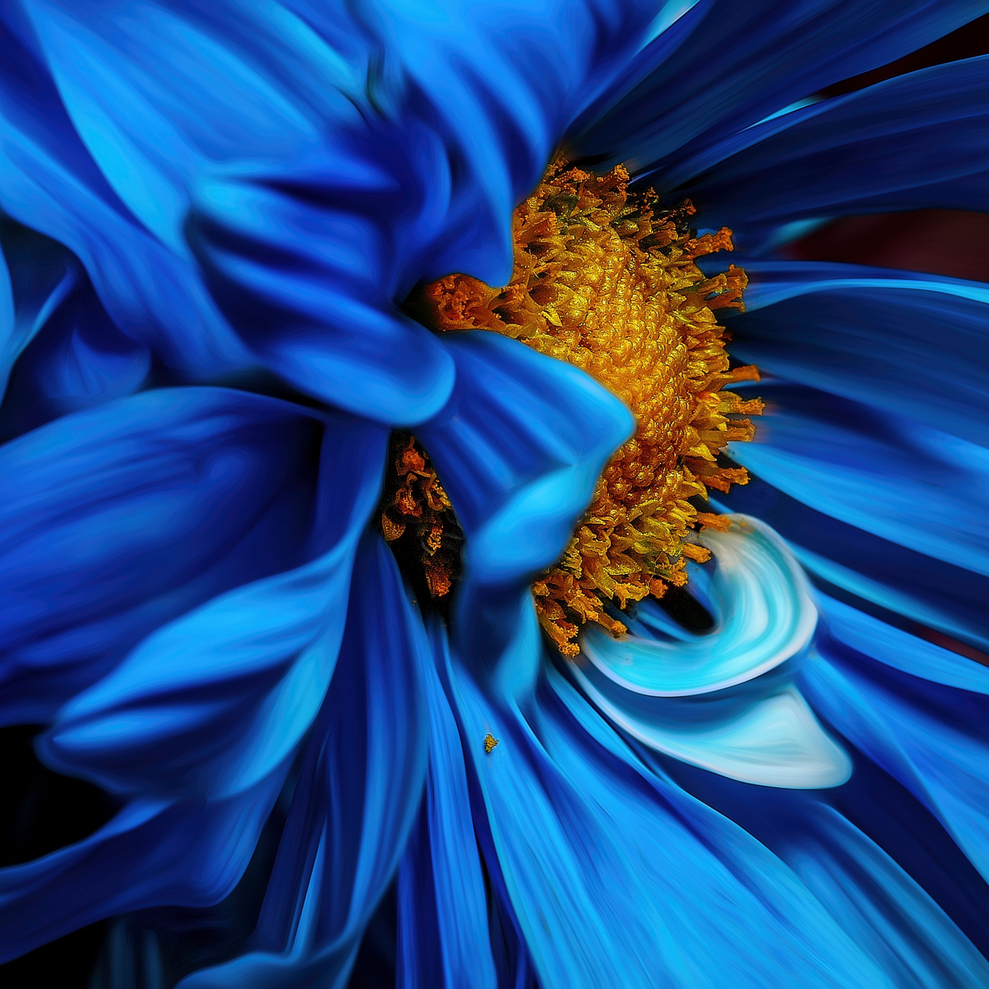 Beautiful Blue Flower Focus Petals iPad