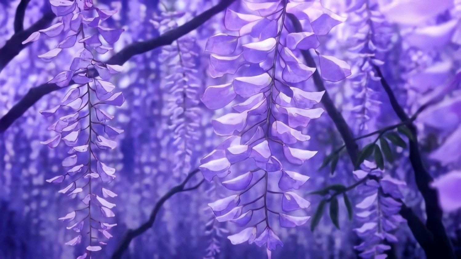 Drxppy Richh on Twitter. Anime flower, Anime scenery, Purple wisteria