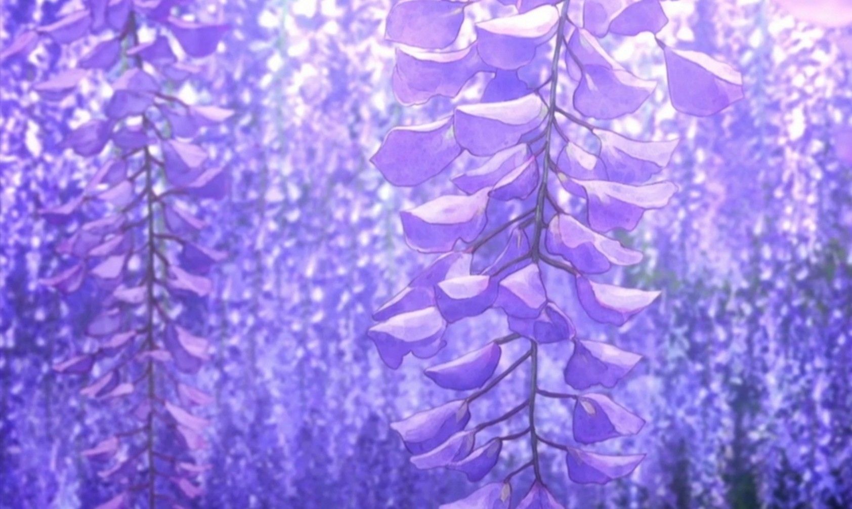 Wisteria Aesthetic Wallpaper