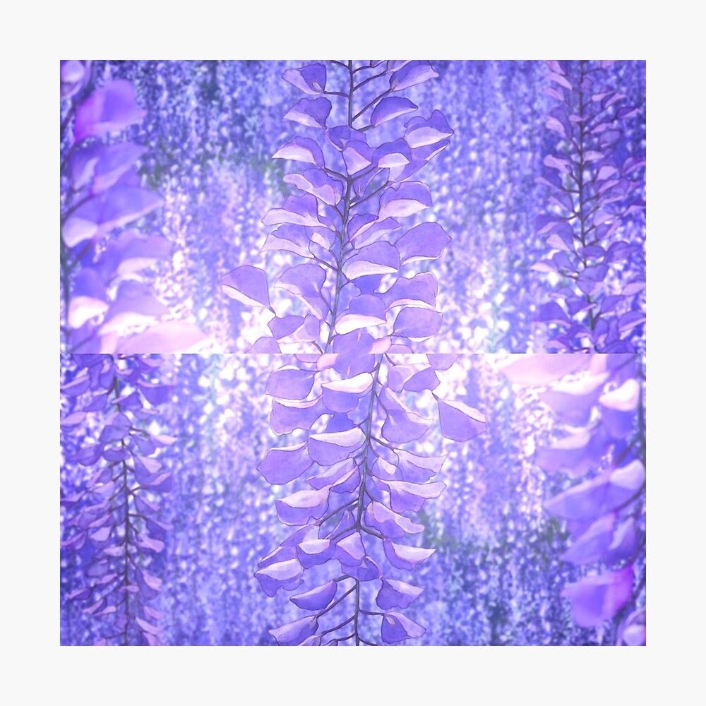 Wisteria Phone Wallpapers  Mobile Abyss