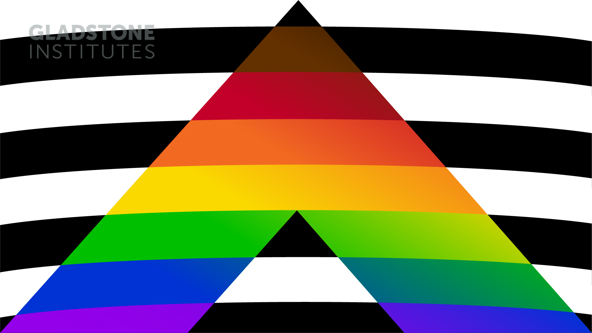 Pride Zoom Background