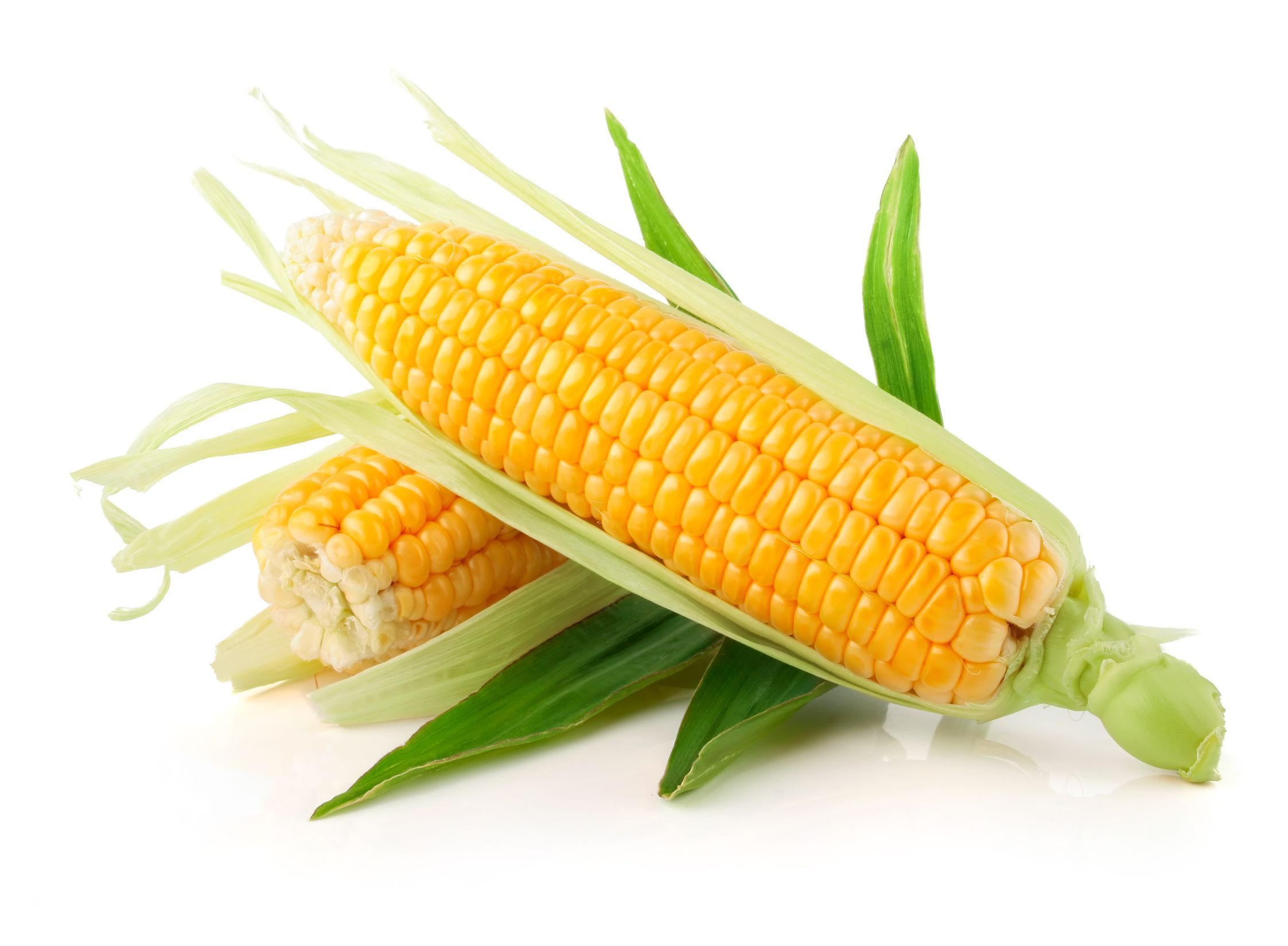 Corn for Babies.com. Corn nutrition facts, Corn health benefits, Benefits of sweet corn