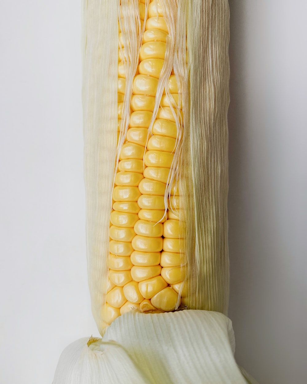 Sweet Corn Picture. Download Free Image