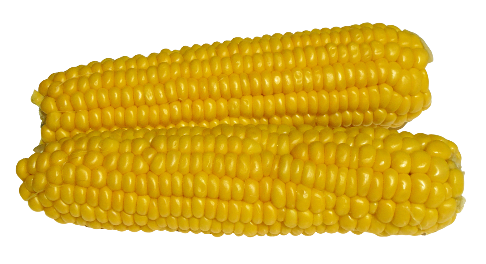 Corn PNG Image. Corn, Image, Png