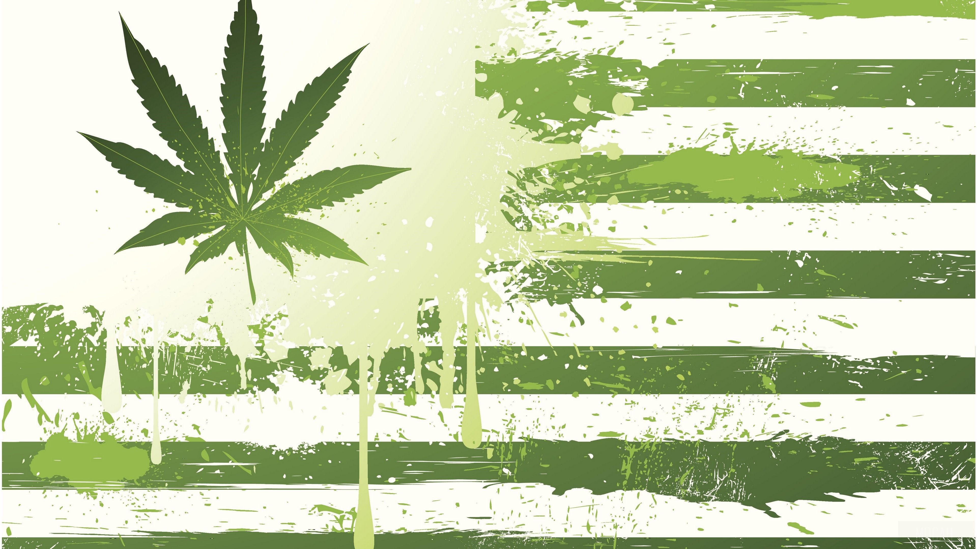 marijuana HD wallpaper, Background