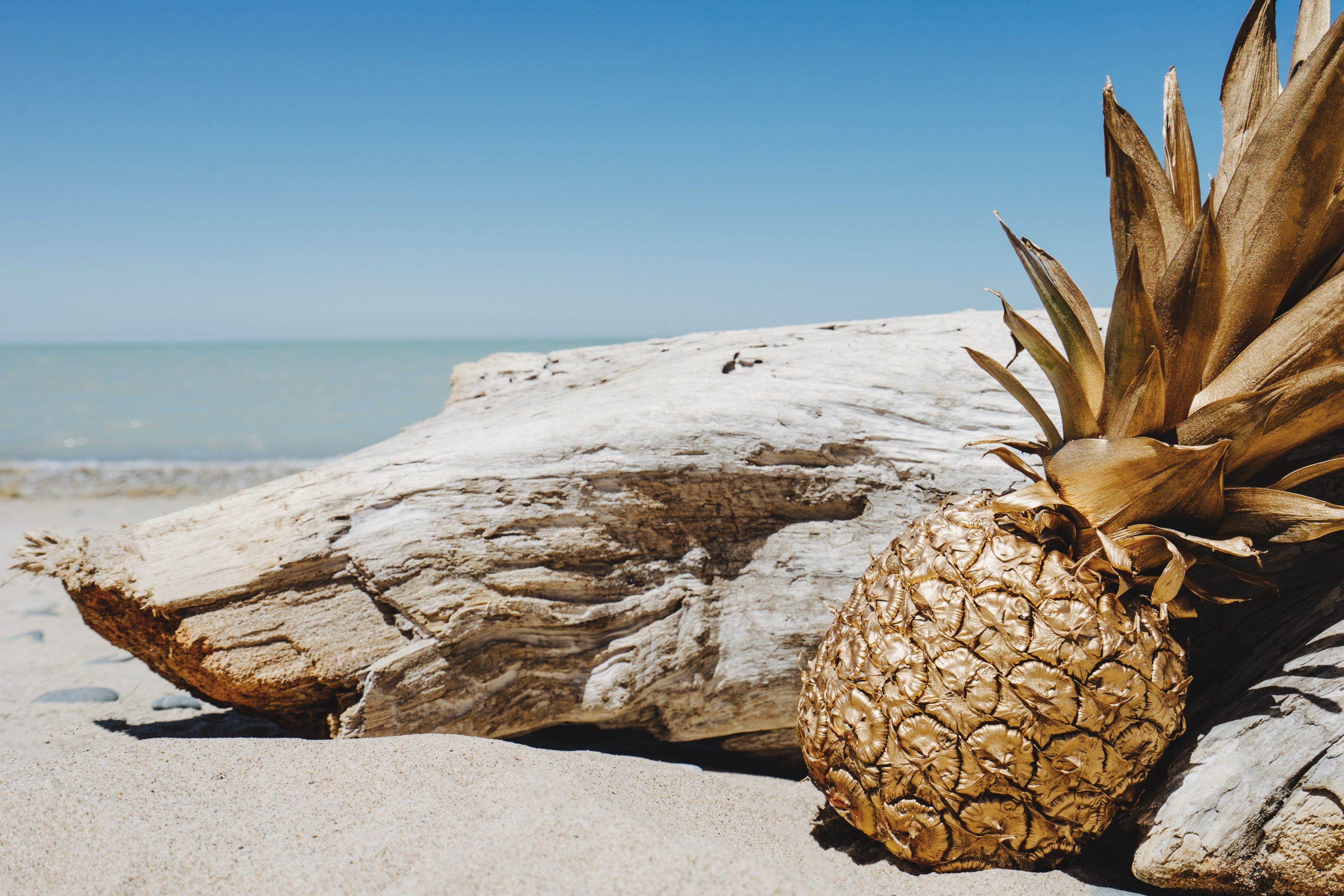 Wallpaper / a gold painted pineapple leaning against a piece of driftwood on a sandy beach, golden good vibes 4k wallpaper