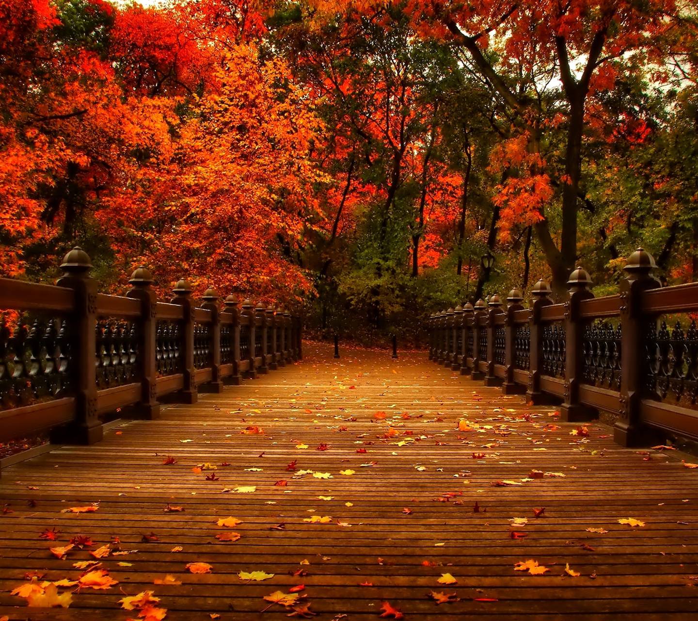 Autumn Bridge Wallpaper Free Autumn Bridge Background
