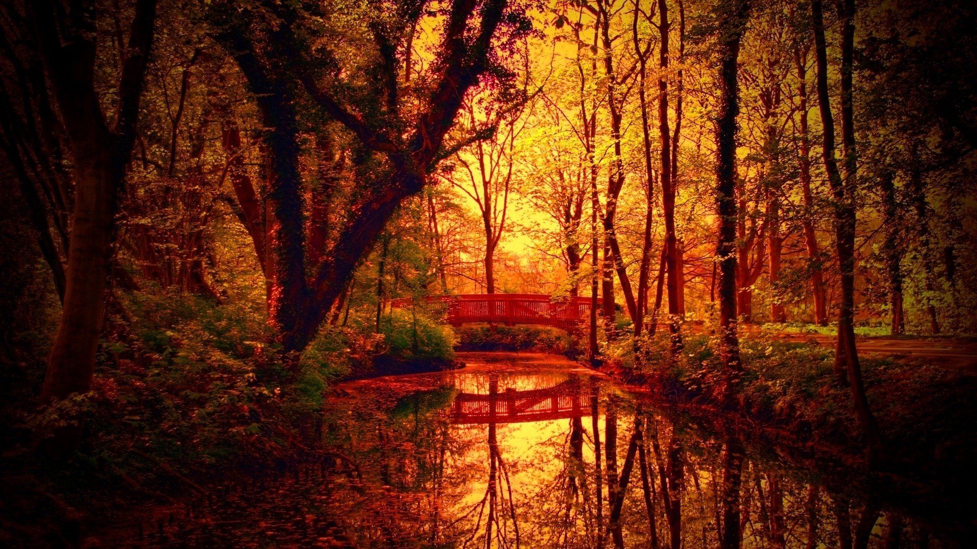 fantastic, Autumn, Colors, On, Bridge, Over, A, Forest, Creek Wallpaper HD / Desktop and Mobile Background