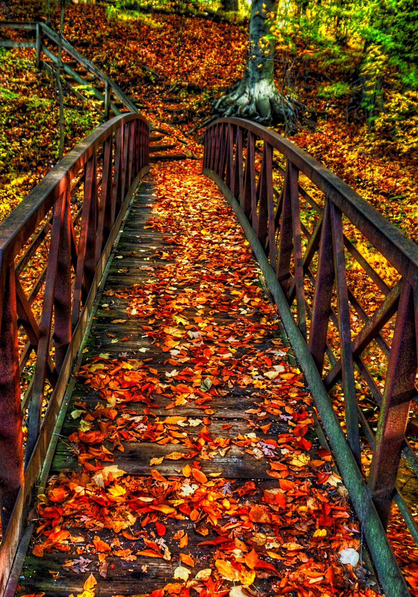 Bridge Fall past. Autumn scenery, Fall wallpaper, October country