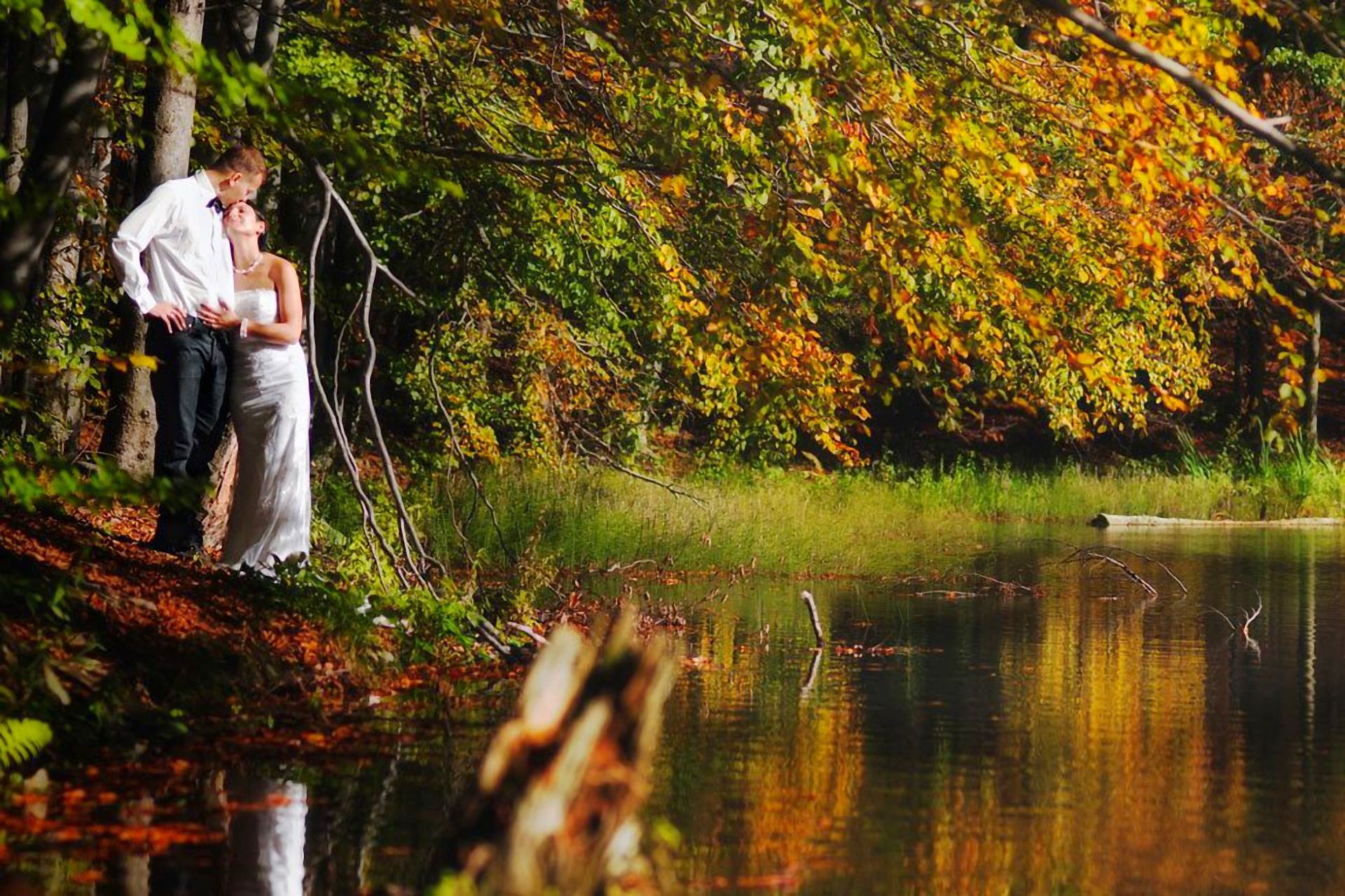 autumn, Nature, Pond, Couple, In, Love, Mood, Bride Wallpaper HD / Desktop and Mobile Background