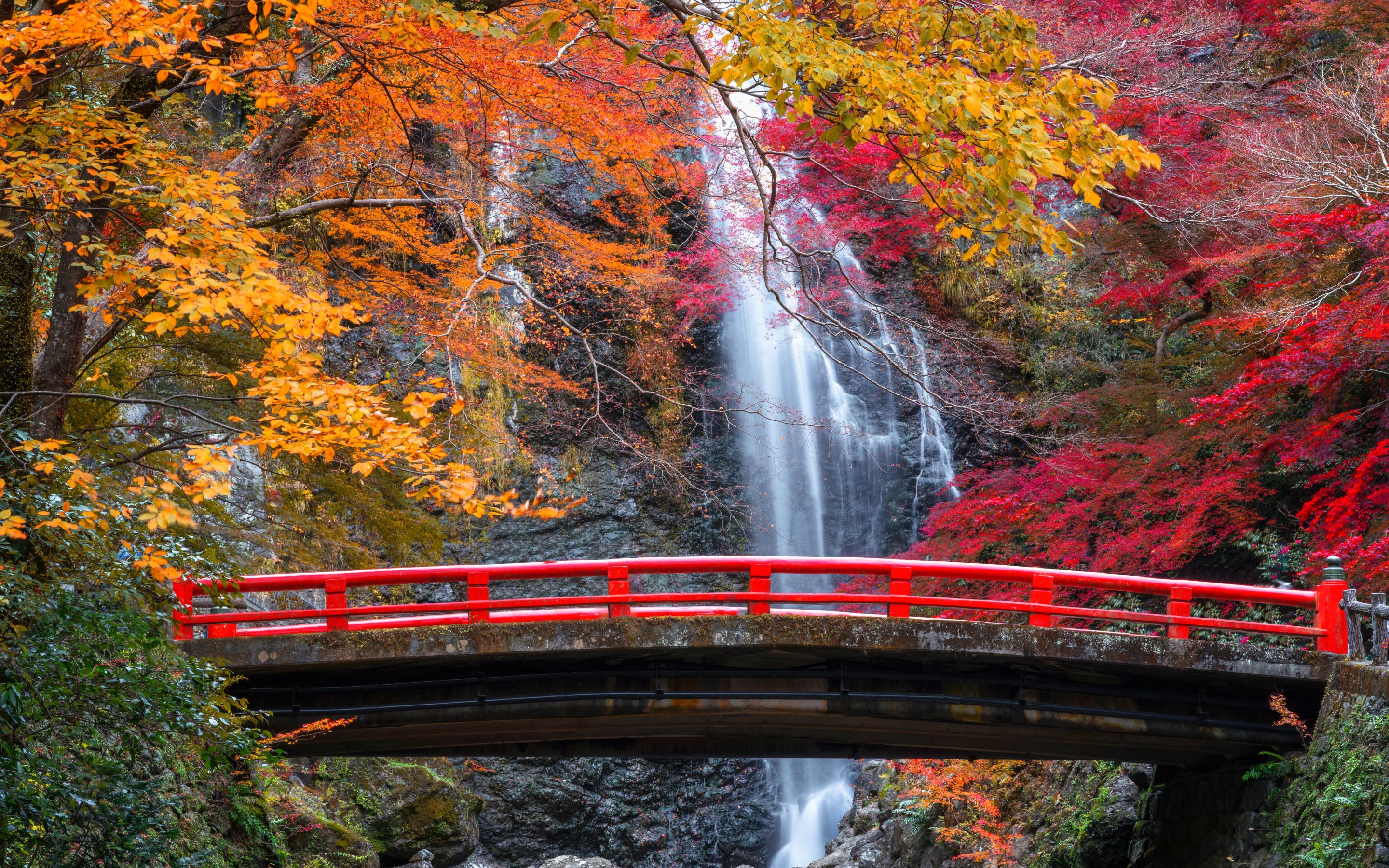 Bridge to Waterfall in Autumn Forest HD Wallpaper