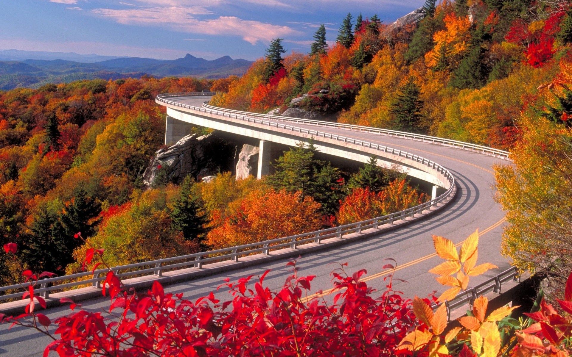 Autumn Forest & Curvy Bridge wallpaper. Autumn Forest & Curvy Bridge