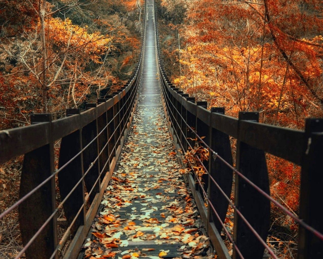 Download 1280x1024 Autumn, Wooden Bridge, Fall, Leaves, Path Wallpaper