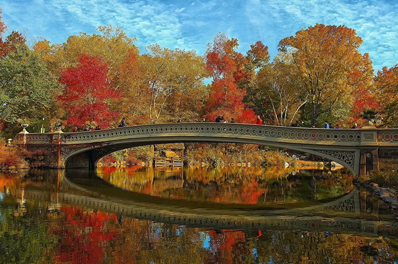 Image New York City USA Nature Autumn Bridges park Pond