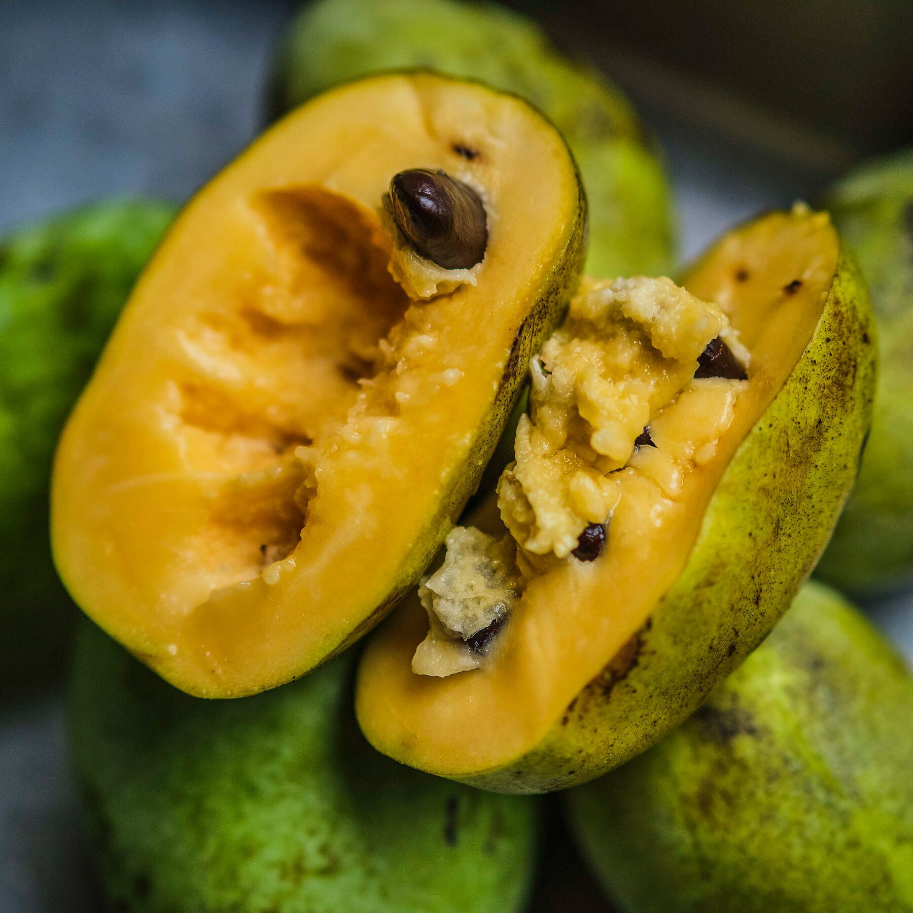 How to Grow (and Eat) a Pawpaw