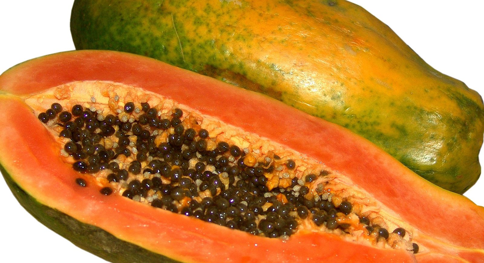 papaya. Description, Cultivation, Uses, & Facts