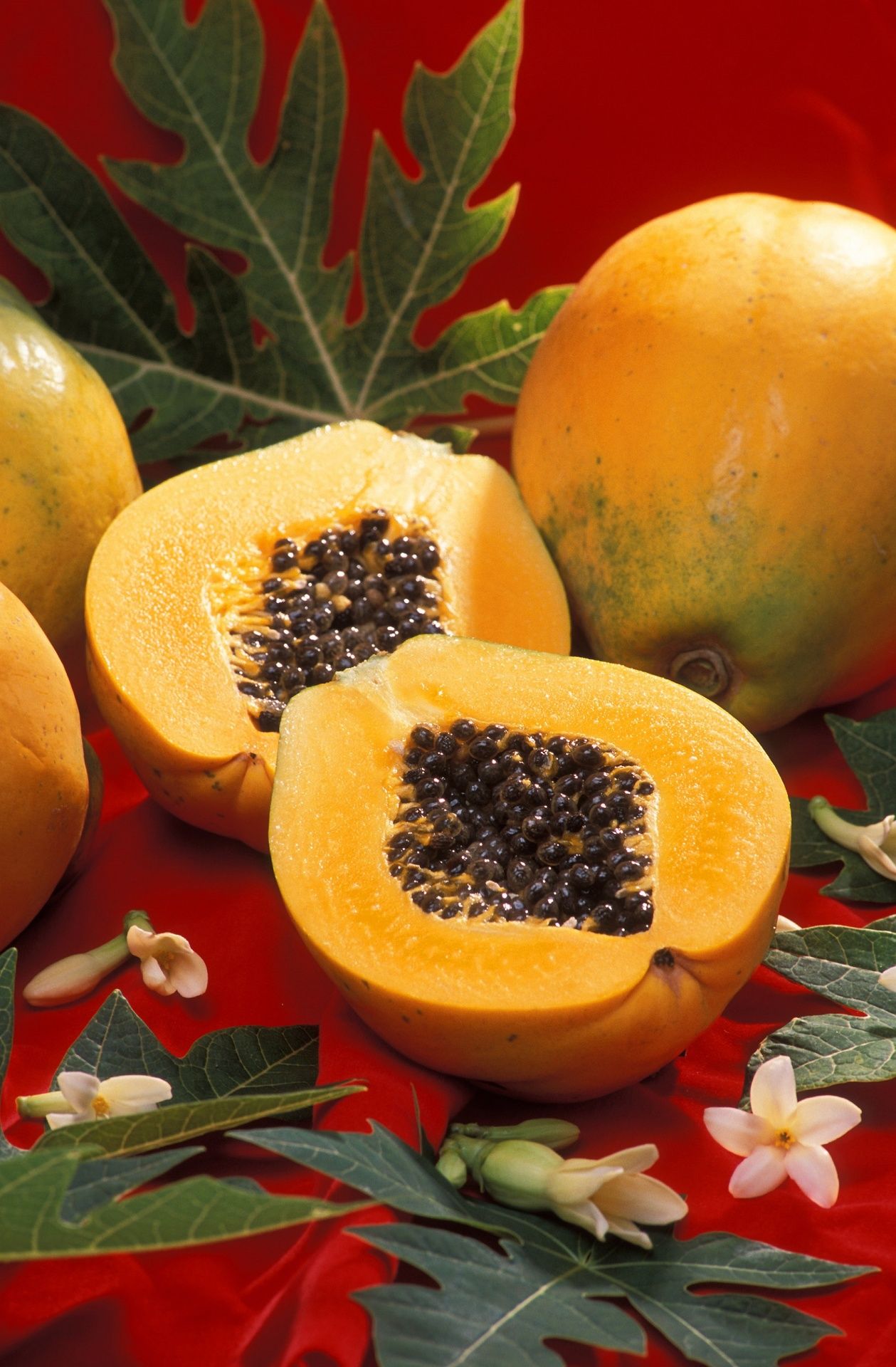 Download free photo of Papaya, fresh, cut, whole, uncut